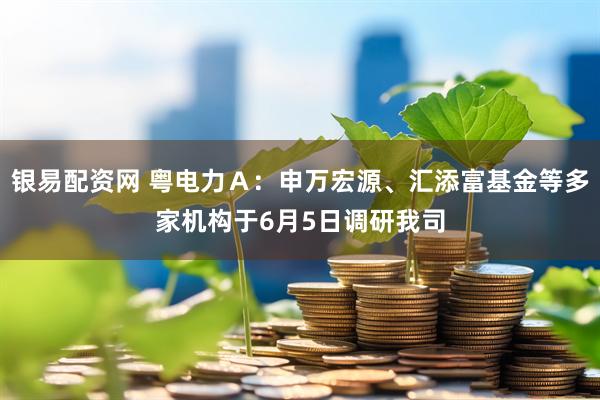 银易配资网 粤电力Ａ：申万宏源、汇添富基金等多家机构于6月5日调研我司
