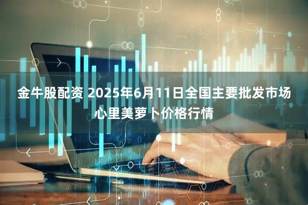 金牛股配资 2025年6月11日全国主要批发市场心里美萝卜价格行情