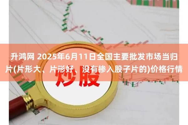 升鸿网 2025年6月11日全国主要批发市场当归片(片形大、片形好、没有掺入股子片的)价格行情