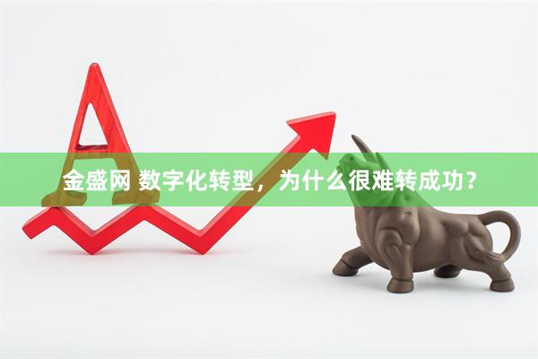金盛网 数字化转型，为什么很难转成功？