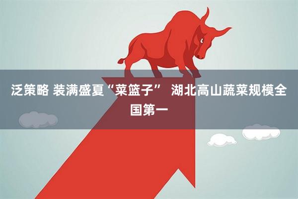 泛策略 装满盛夏“菜篮子”  湖北高山蔬菜规模全国第一