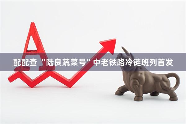 配配查 “陆良蔬菜号”中老铁路冷链班列首发