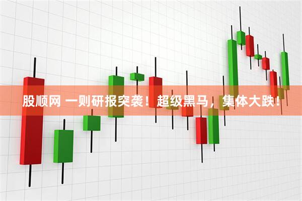 股顺网 一则研报突袭！超级黑马，集体大跌！