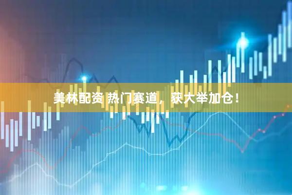 美林配资 热门赛道，获大举加仓！
