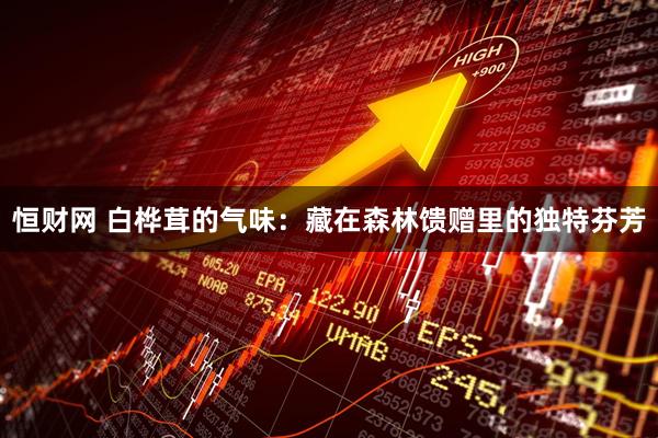 恒财网 白桦茸的气味：藏在森林馈赠里的独特芬芳