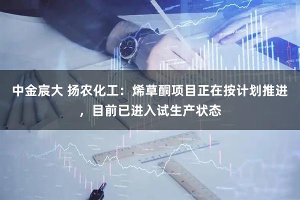 中金宸大 扬农化工：烯草酮项目正在按计划推进，目前已进入试生产状态