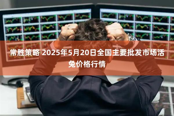 常胜策略 2025年5月20日全国主要批发市场活兔价格行情
