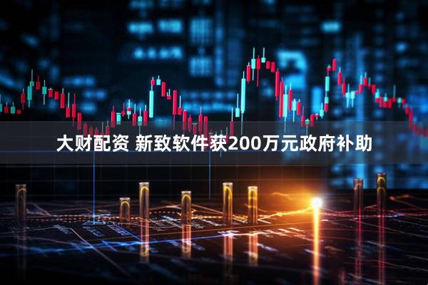 大财配资 新致软件获200万元政府补助